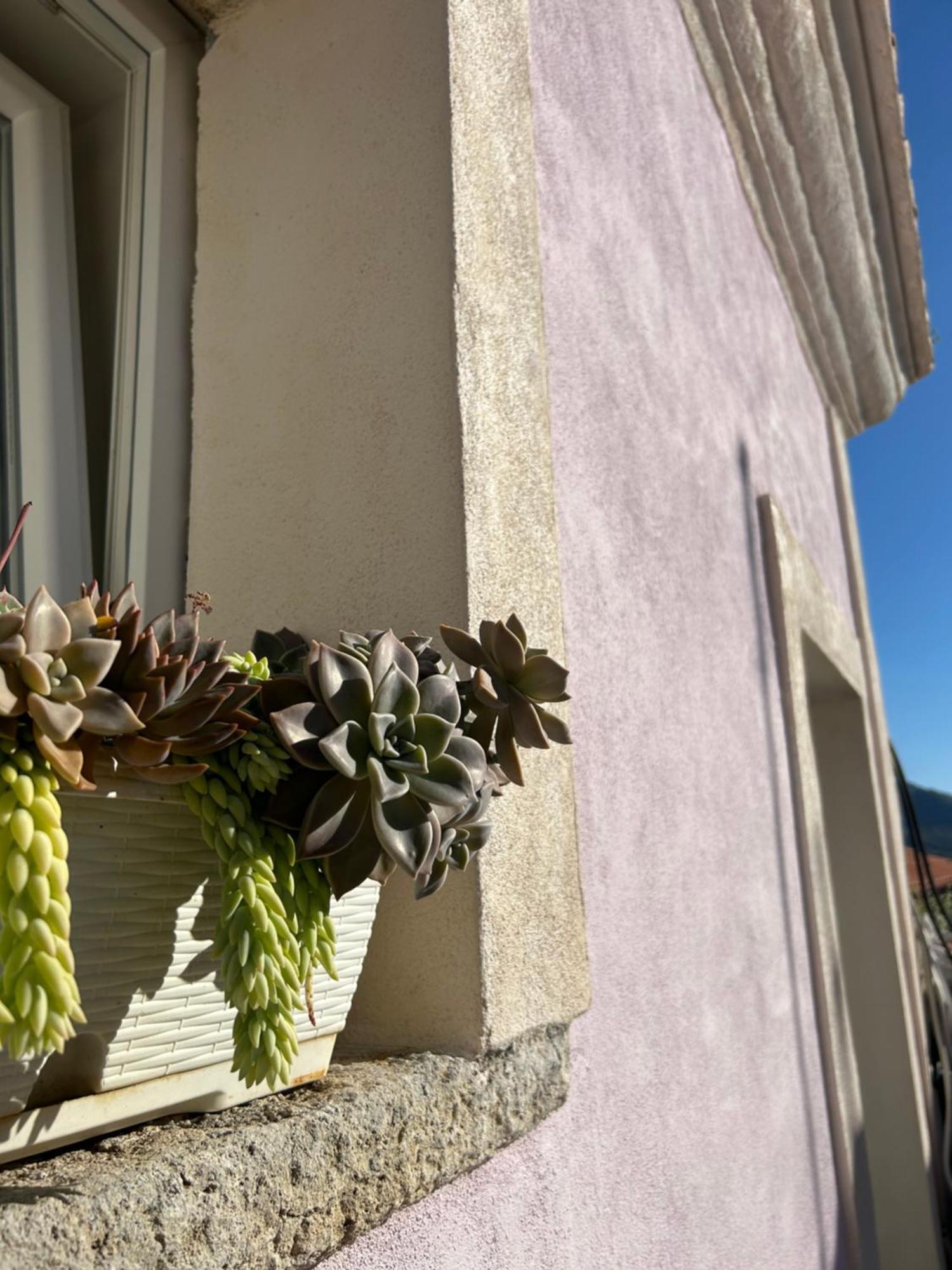 B&B Casa Camilory San Lucido Extérieur photo